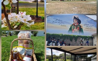 À la découverte de Challans et ses trésors autour des Gîtes de la Taillée