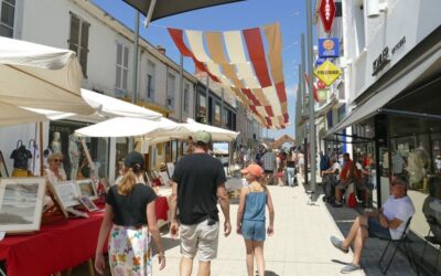 Que faire autour de Challans en 3 jours ? Guide pour découvrir la Vendée